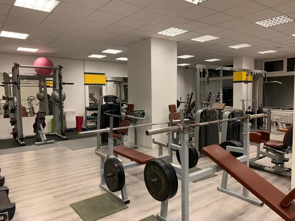 Damifit