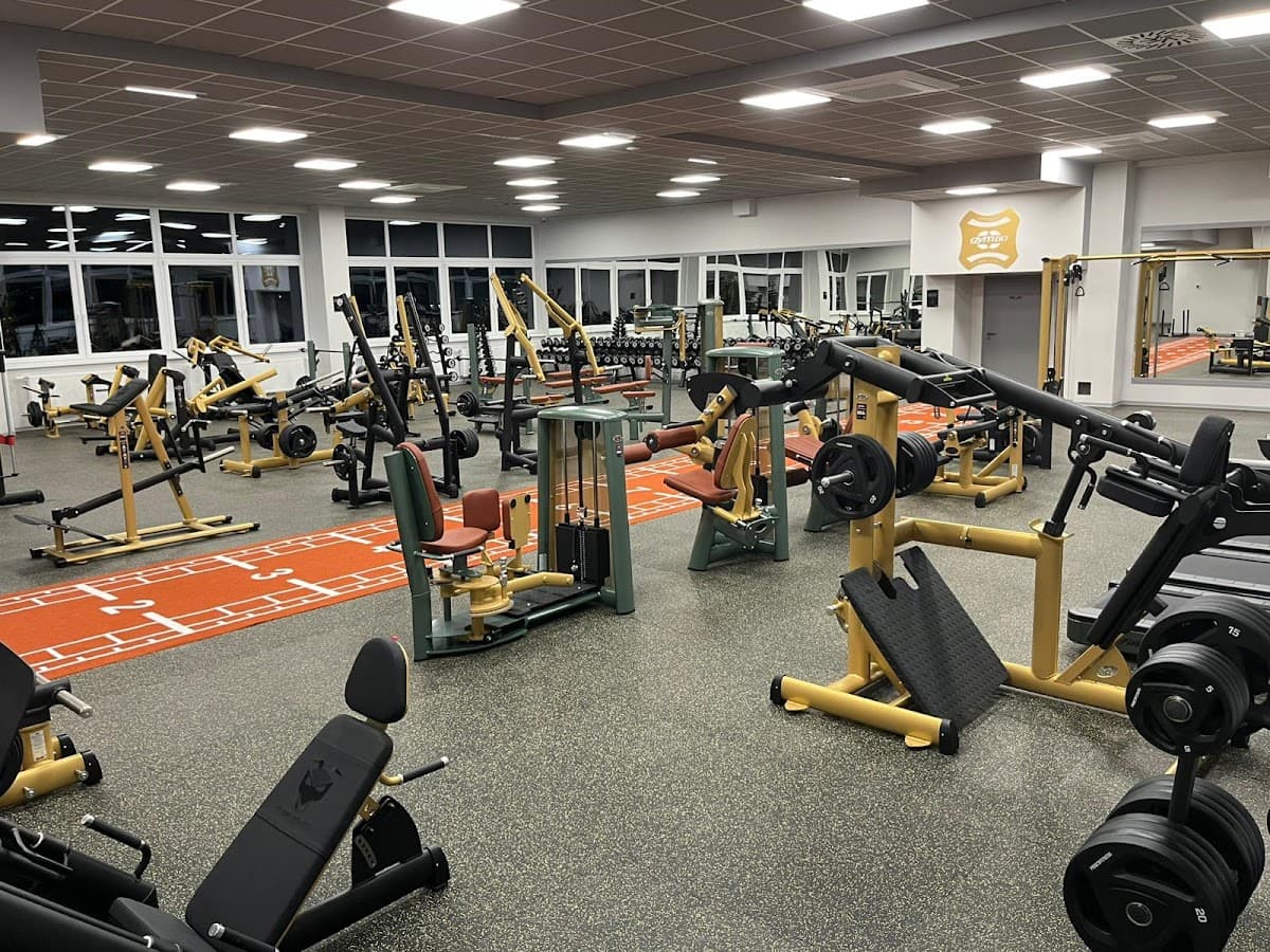Silk Gym