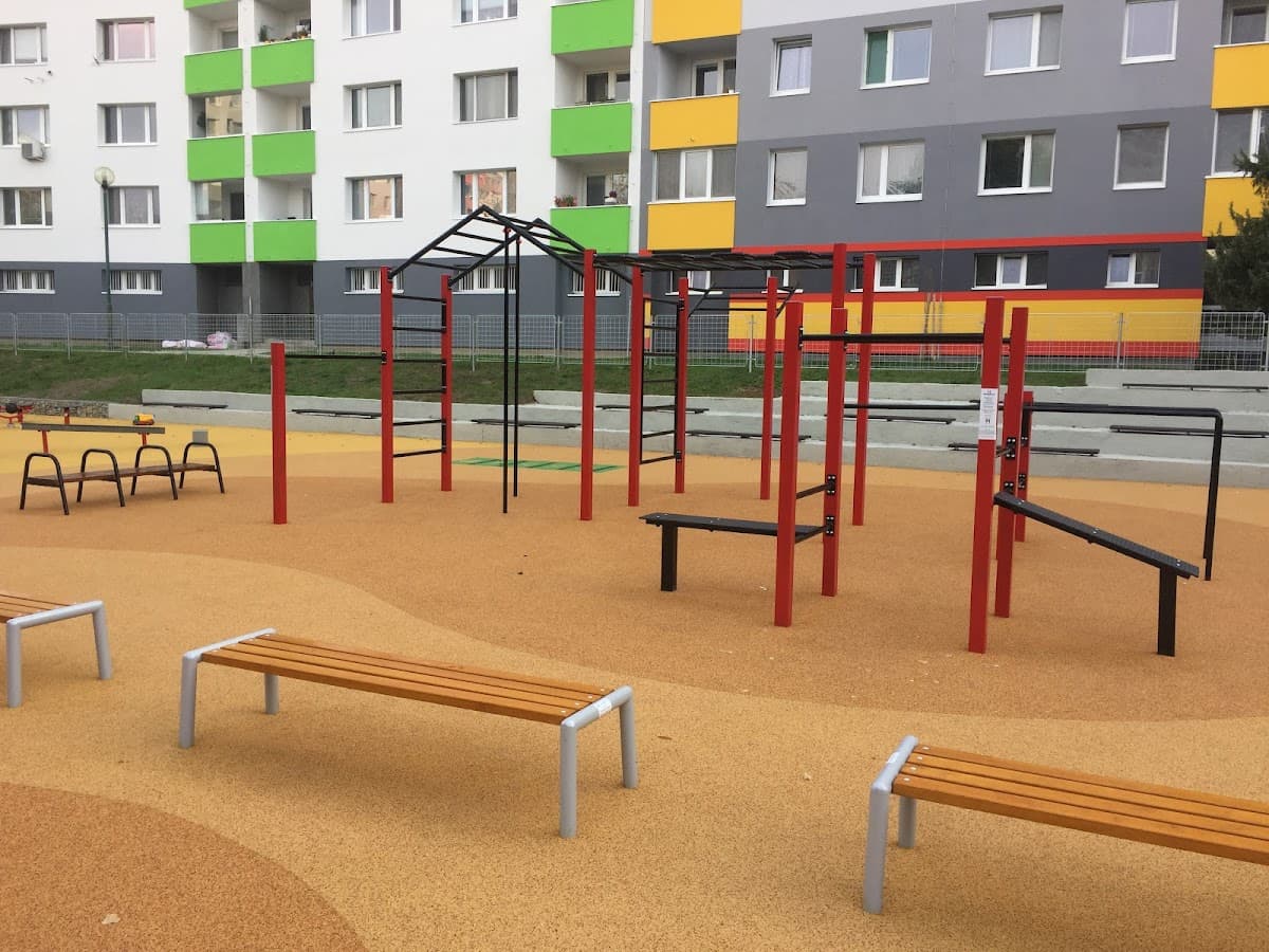Streetworkout Šašovská