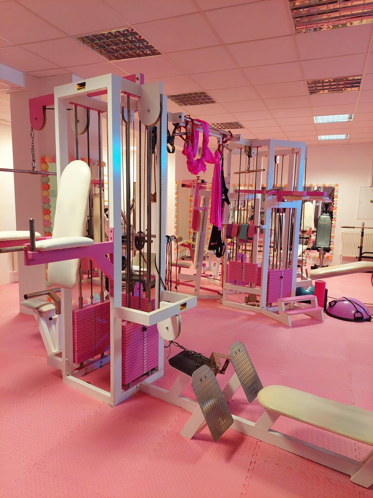 iWellness s.r.o.