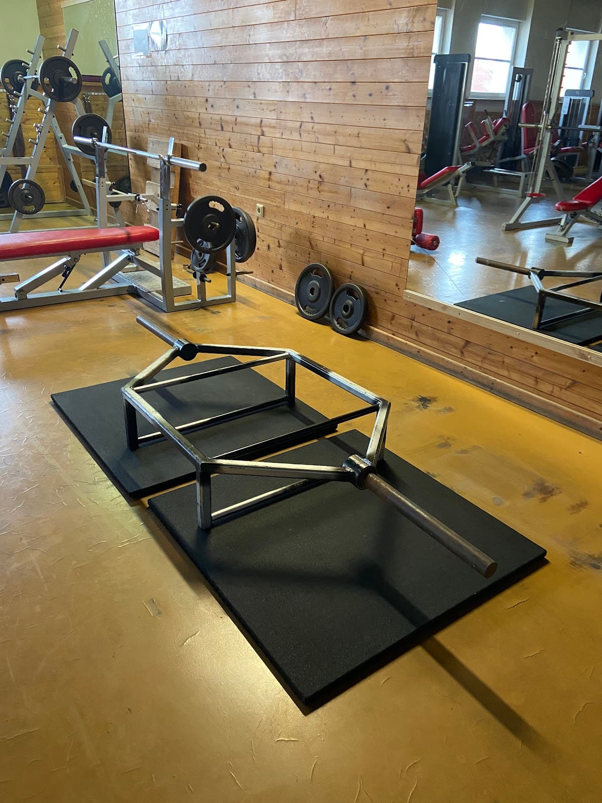 Fitness gym Maxim 8