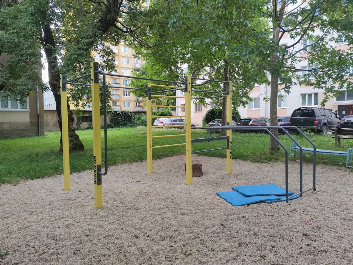 Street Workout Park