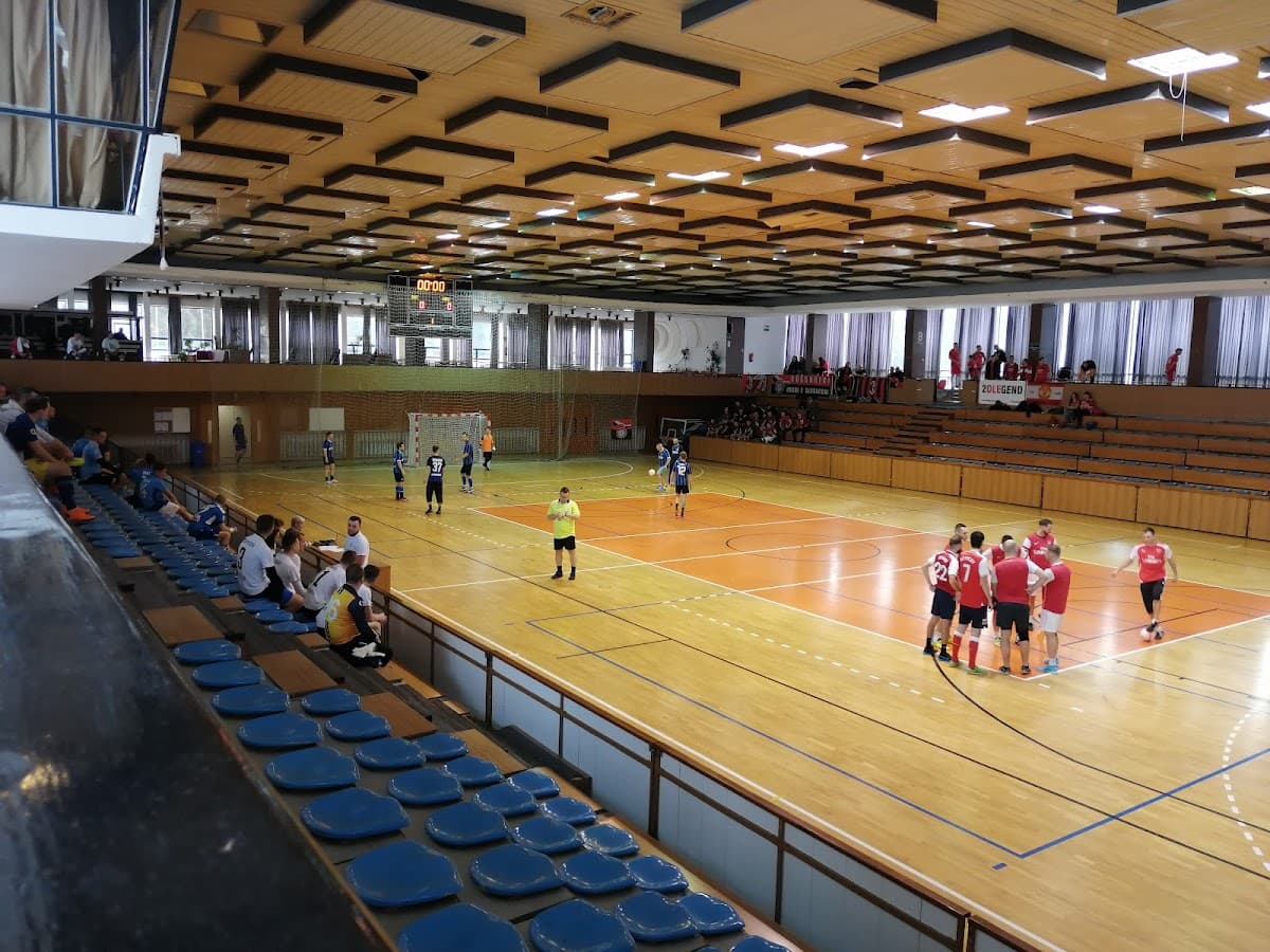 Hala Družba