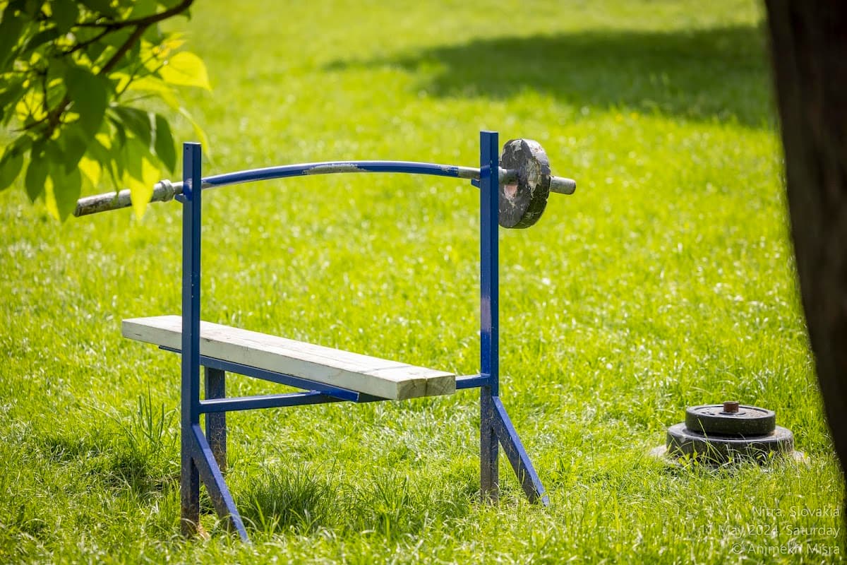 Workout Lomnicka