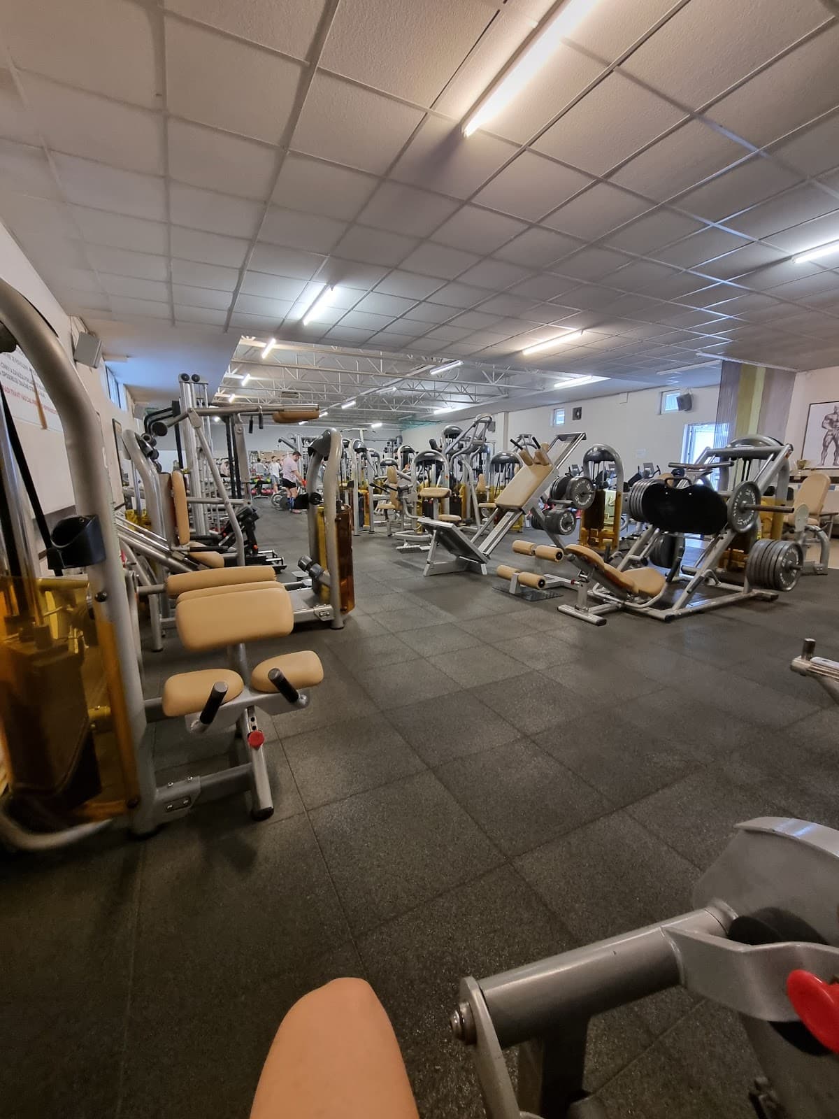 ELITE FITNESS CLUB