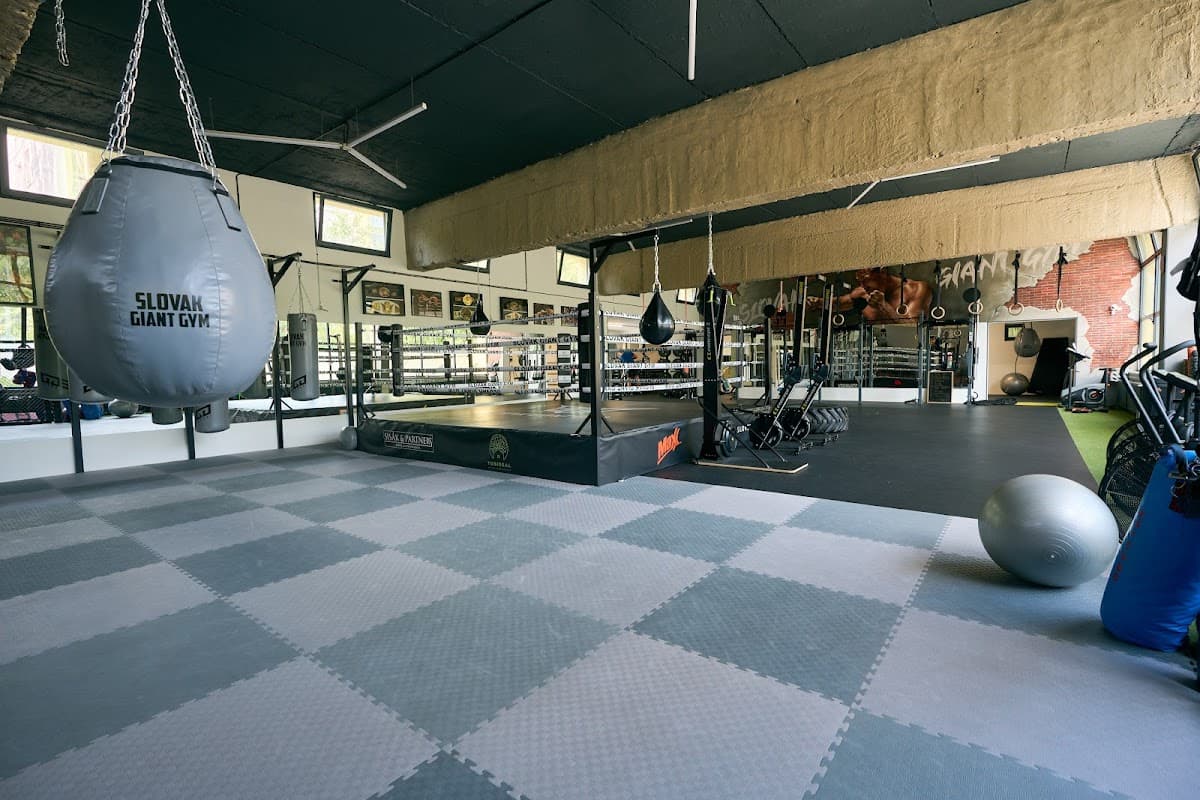 Slovak Giant Gym
