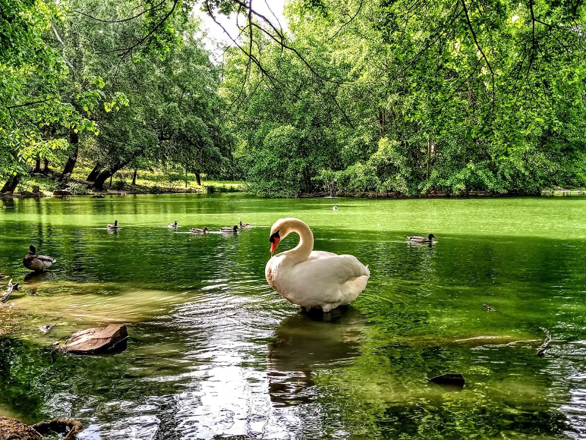 Barčiansky Park