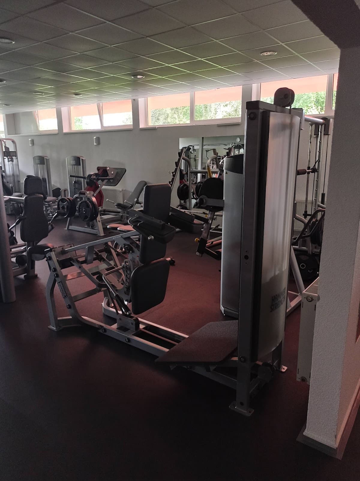 Kingdom gym