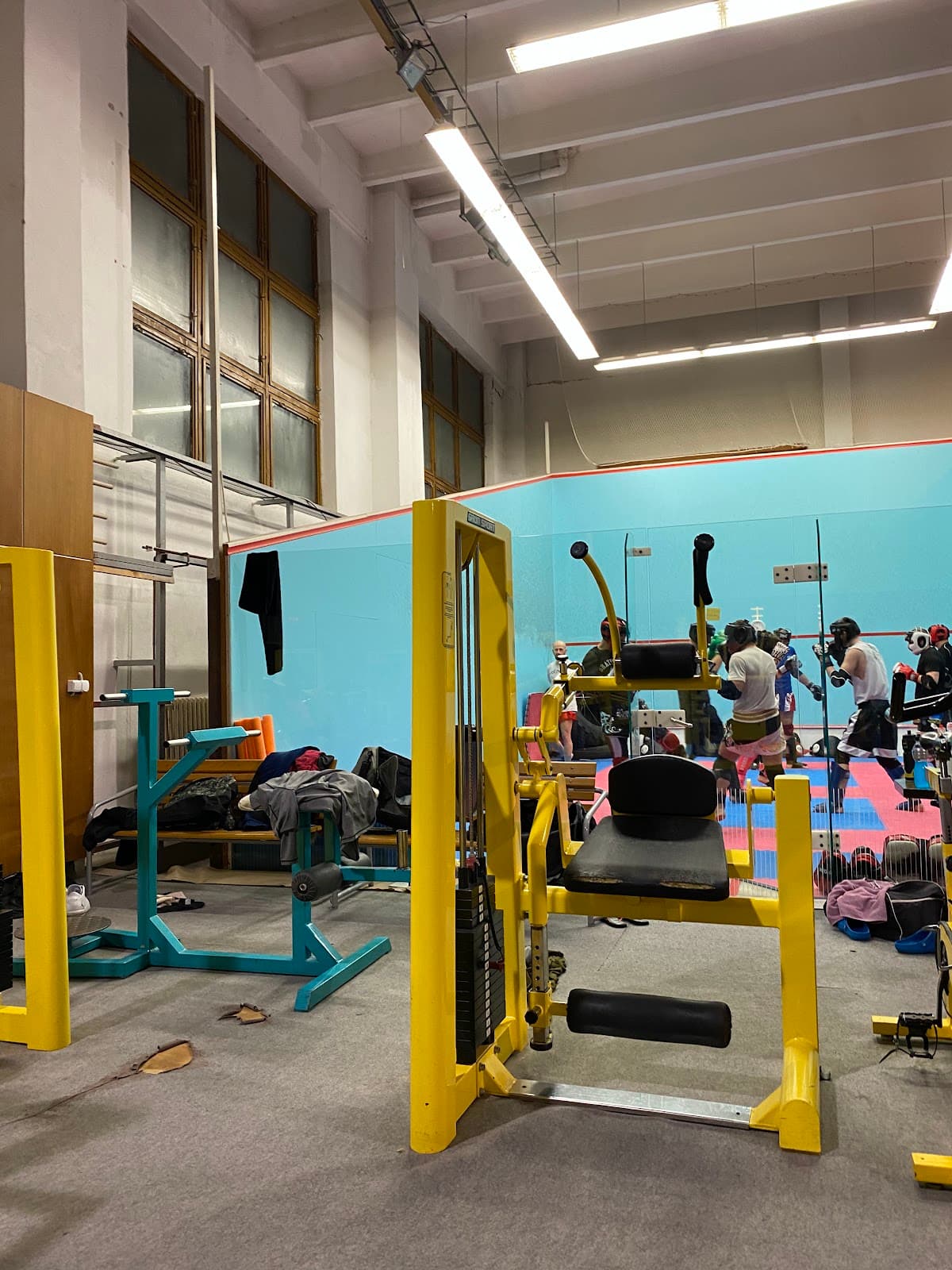 Arena's Gym