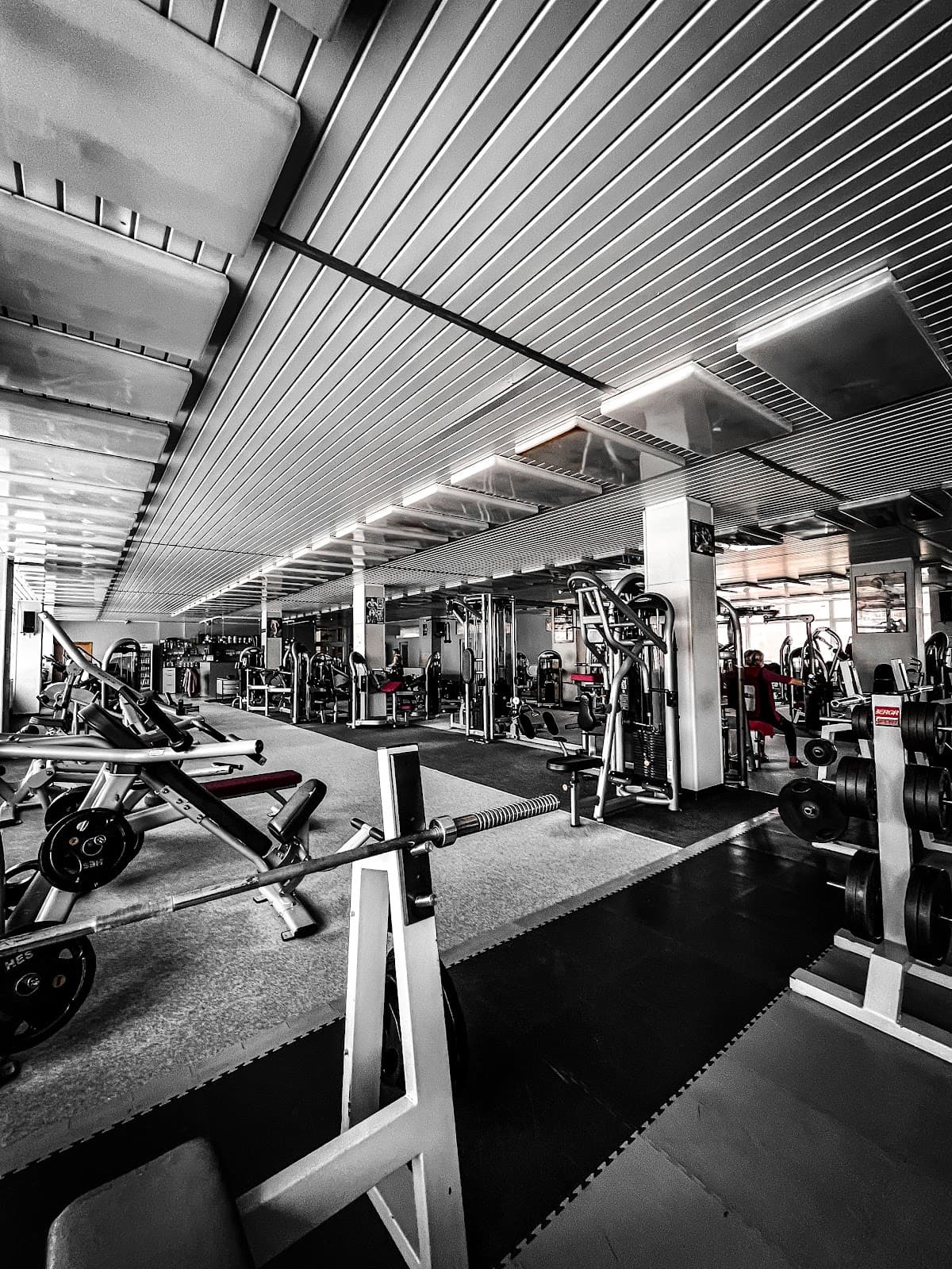 BERDY Fitness
