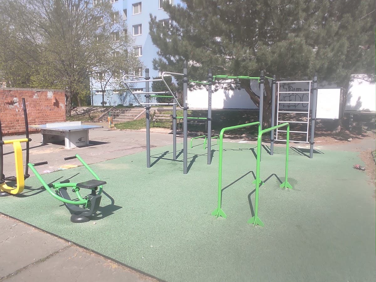 Street workout, Bradáčova