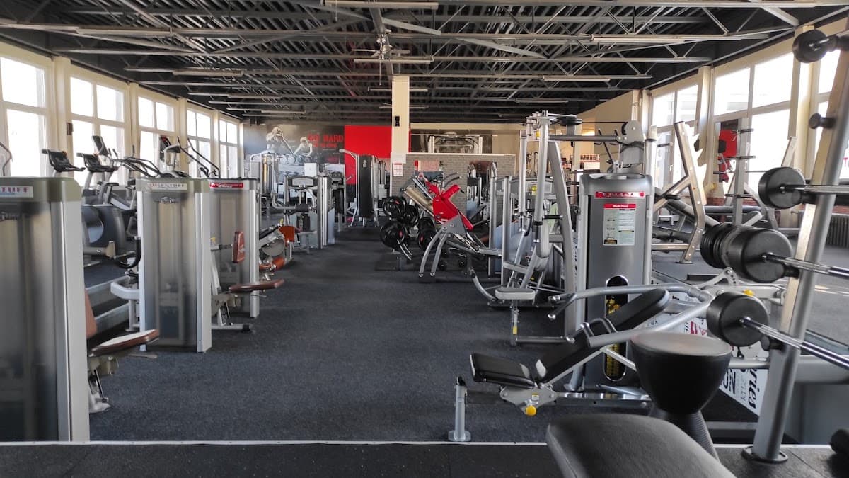 GYM4U OC Torysa
