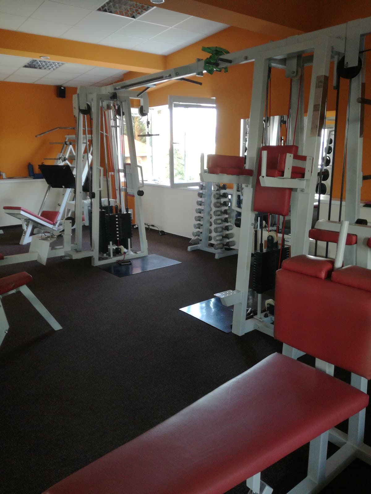 FITNES-SPORT