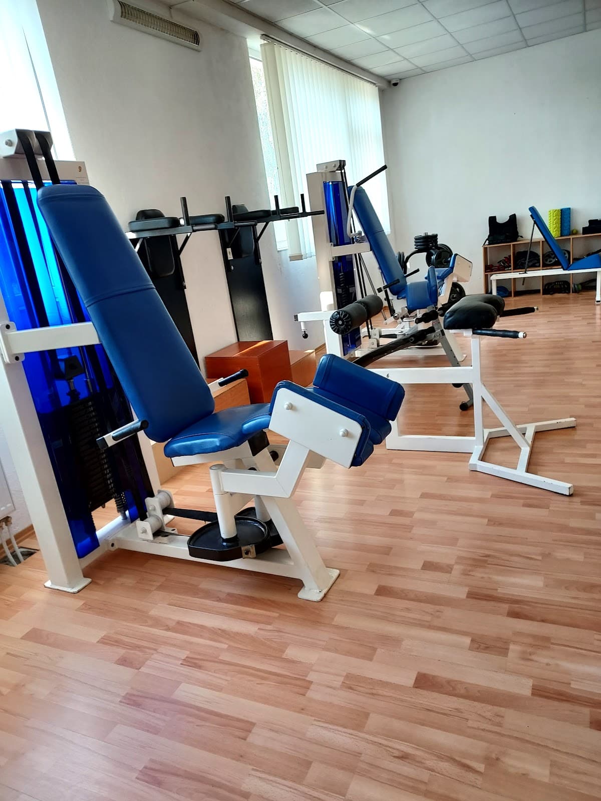 Lady Fitness