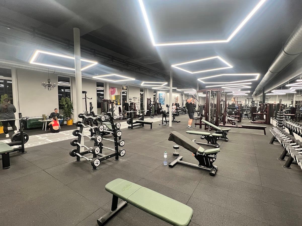 Rebel Gym