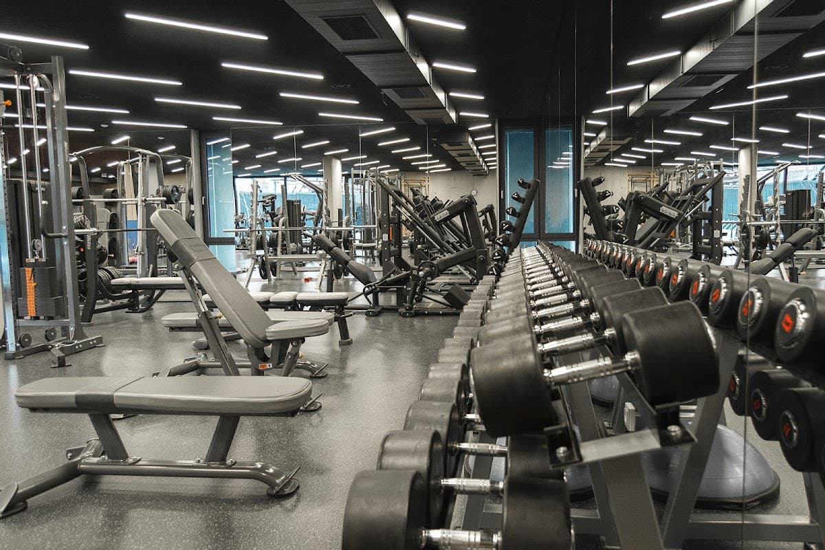 TIDLY GYM