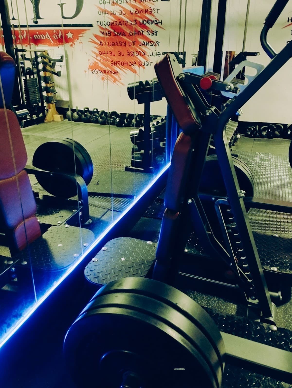 Grif Gym Kuchyňa