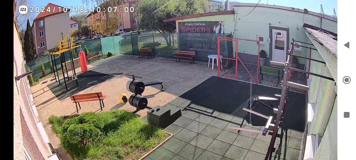 SPIDER´s GYM