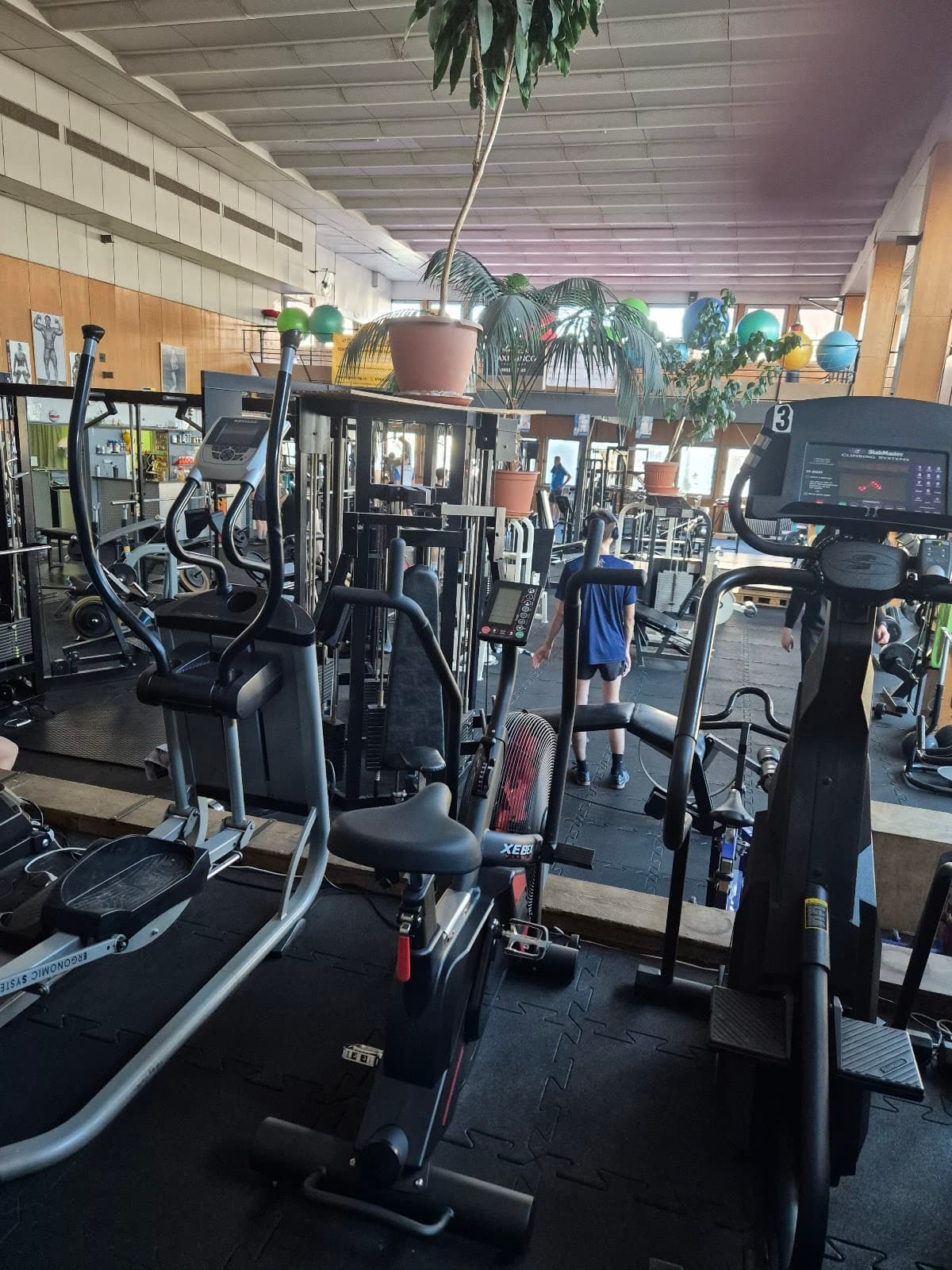 Fitcentrum Donald