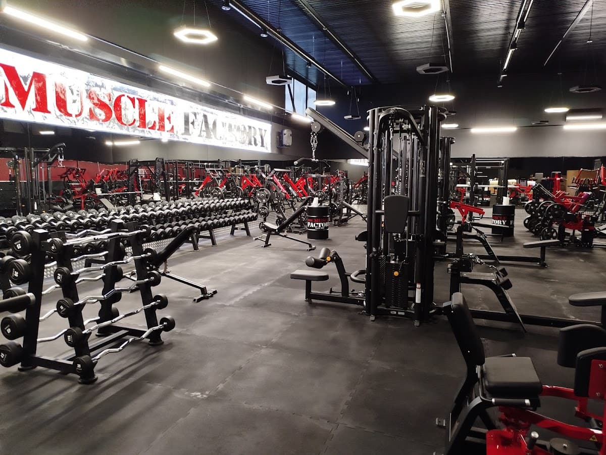 TheMuscleFactory Gym
